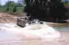 M113 Photo