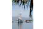 FFG 37 Photo