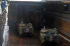 LSD 49 Photo