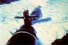 SSN 690 Photo