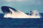 SSN 723 Photo